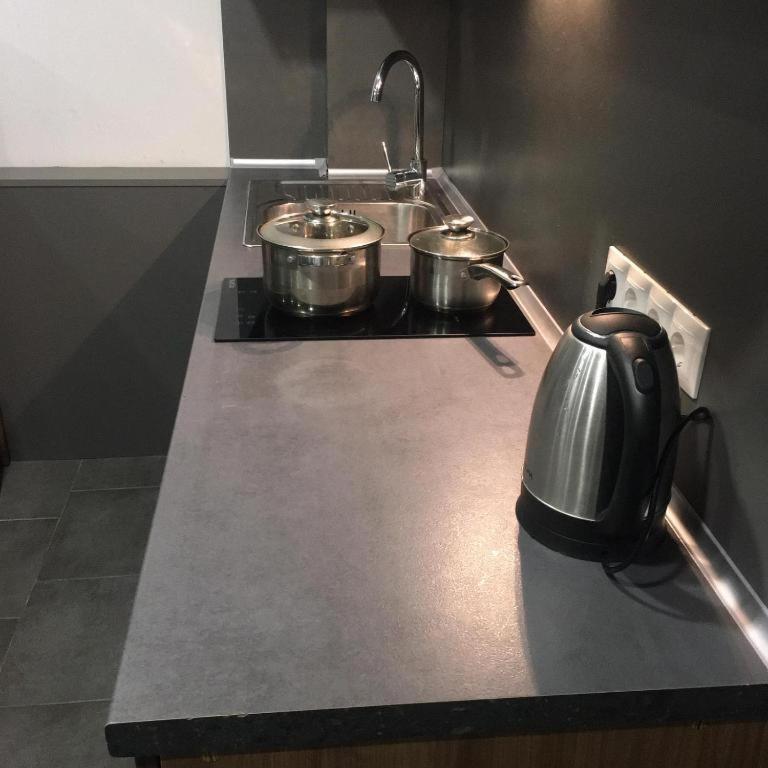 Люкс на Другетов Apartment Ужгород Екстериор снимка
